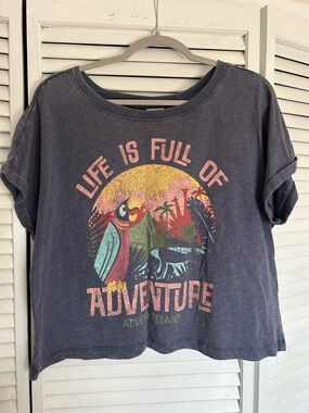 Disney Women’s Crop tee